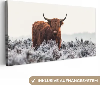 Produktbild von MuchoWow® - Leinwandbilder - Schottischer Hochländer - Tier - Natur - Weiß, Wandbild, Wanddeko Bilder Wohnzimmer, 80x40 cm