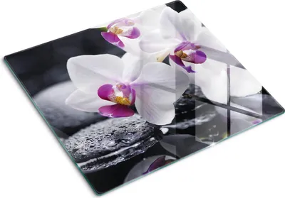 Produktbild von Glasplatte zum Schutz der Kochfläche – Abdeckung für die Kochplatte – Abdeckung für Induktionskochfelder – 60x52 cm – Einfache Reinigung – Gehärtetes Glas – Orchidee