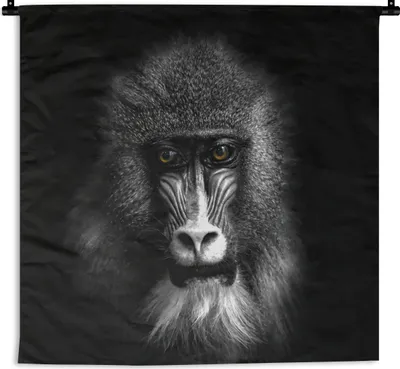 Produktbild von MuchoWow® Wandteppich Wandbehang Affe - Tiere - Augen - Braun - Schwarz und weiß 150x150 cm Tapisserie Dekoration Wandtuch - Wohnaccessoires - Modernes