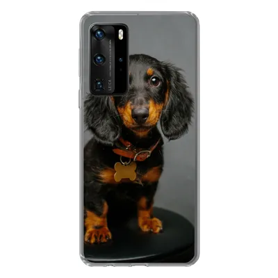 Produktbild von MuchoWow® Handyhülle Schutzhülle Hülle für Huawei P40 Pro Studiofoto eines Dackelwelpen Silikon Softcase Handy Hülle - Schutz