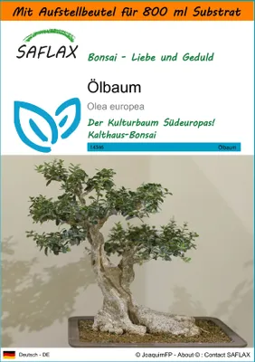 Produktbild von SAFLAX - Garden in the Bag - Bonsai - Ölbaum - 20 Samen - Mit Anzuchtsubstrat im praktischen, selbst aufstellenden Beutel - Olea europea