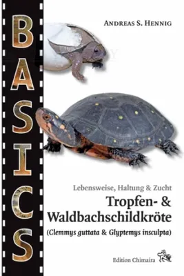 Produktbild von Tropfen- und Waldbachschildkröte
