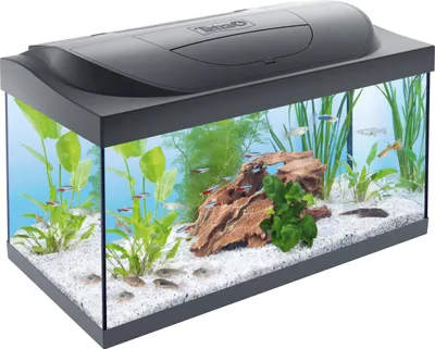 Produktbild von Aquarium Tetra Kleine Forscher Club Entdecker Aquarium 3.0 inkl. Abdeckung schwarz mit LED Beleuchtung 10 W, Innenfilter