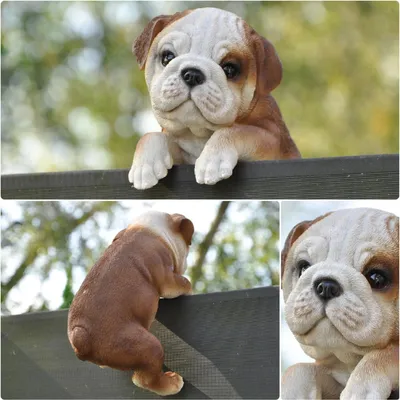 Image de Figurine de jardin décorative Bouledogue 19 x 12 x 11 cm
