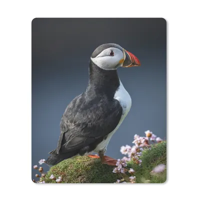 Produktbild von MuchoWow® Mauspad Mousepad Nahaufnahme eines Papageientauchers 30x40 cm - Mousepads - Maus Mat - Pad - Mausunterlage - Mausmatten
