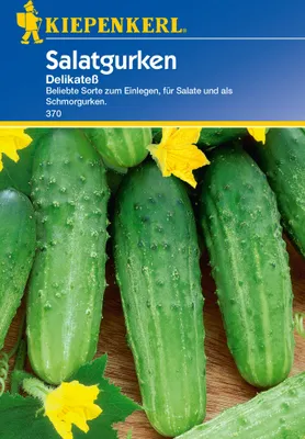 Produktbild von Salatgurken Delikateß