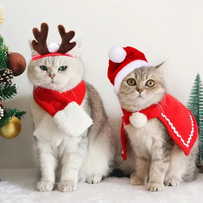 Produktbild von Weihnachtskostš¹m Katzen Hunde, 8 Stš¹ck Haustier Kostš¹m Weihnachten Kleidung Rentier Geweih Stirnband fš¹r Hunde, Katzen, Weihnachten und Partys