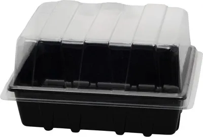 Produktbild von Mini-Gewächshaus Strend Pro, Set, 23,5x19x13,5 cm