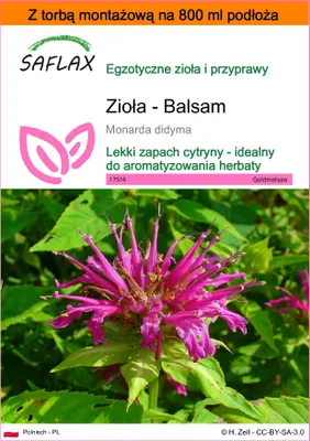 Zdjęcie produktu dla SAFLAX - Garden in the bag - Zioła - Balsam - 20 Nasiona - Z podłożem uprawowym w praktycznej, samorozkładającej się torbie - Monarda didyma