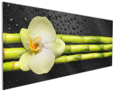 Produktbild von Wallario Küchenrückwand aus Glas, Größe: 125 x 50 cm, Motiv: Grüne Orchidee mit Bambus auf schwarz - Regentropfen | Spritzschutz | abwischbar | pflegeleicht | in