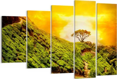 Produktbild von Bild auf Leinwand - Leinwandbild - Berg Baum Pfad Hügel - 150x100cm - Wand Bild - Wanddeko - Leinwanddruck - Bilder - Kunstdruck - Wanddekoration - Leinwand bilder - Wandkunst - EG150x100-2715