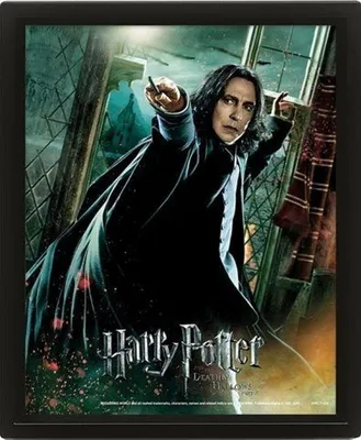 Zdjęcie produktu dla Harry Potter Obraz 3D - Snape
