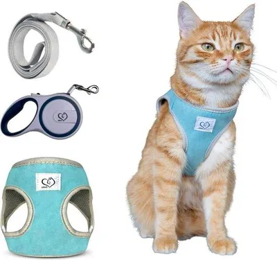 Produktbild von Famanu Katzen- und Hundegeschirr verstellbar - atmungsaktiv und ausbruchsicher - blau klein