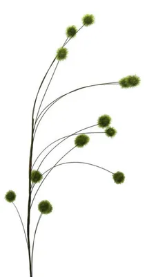 Produktbild von Kunstpflanze KLETTENZWEIG ca. 113cm GRÜN