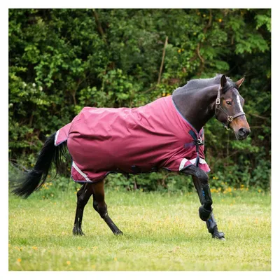 Produktbild von Horseware Ireland Outdoordecke 0g Rambo Original Turnout Lite Regendecke Burgundy/Burgundy, Teal & Navy 160 (7´0)