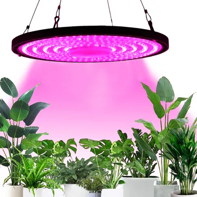 A grow light illuminates a collection of potted houseplants.