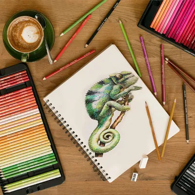 Produktbild von Professionelle Farbbleistift-Set mit 72 einzigartigen Farben - ideal zum Zeichnen, Ausmalen und Skizzieren für Erwachsene und Kinder