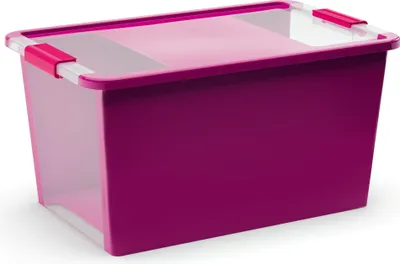 Produktbild von KIS Kunststoffbox Bi Box L Lila / Transparent 40L