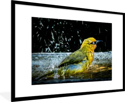 Produktbild von MuchoWow® MuchoWow® Gerahmtes Poster Vogel - Vogeltränke - Wasser 90x60 cm - Poster mit zchwarzem Bilderrahmen - Wanddekoration - Fotos
