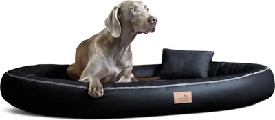 Produktbild von tierlando® Orthopädisches Hundebett GILBERT ORTHO Soft LATEX Velours Kunstleder - Größe: 100x85cm | Farbe: 03 Schwarz