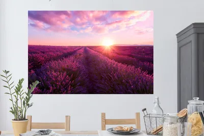 Produktbild von MuchoWow® - Selbstklebend - Fototapeten
