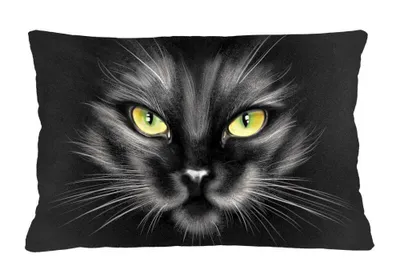 Immagine prodotto di Cuscino decorativo 40x60 "Nero" PI30