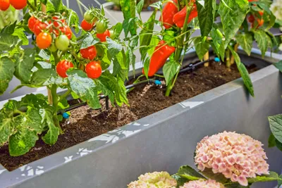 Produktbild von Gardena 13400-20, 15 m, Schwarz, Grün