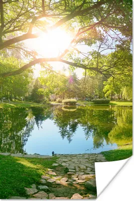 Produktbild von MuchoWow® Poster Bäume - See - Sonne - Gras - Natur 40x60 cm - Plakate für die Wand - Poster Babyzimmer