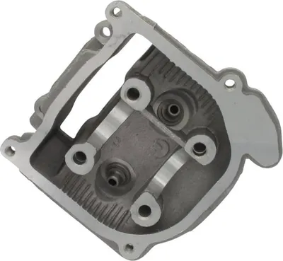 Produktbild von Zylinderkopf mit Ventilführung 60mm 4T 50cc 31110401-1