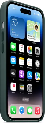 Produktbild von Apple MPPH3ZM/A, Cover, Apple, iPhone 14 Pro, 15,5 cm (6.1"), Grün
