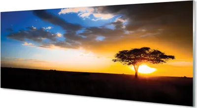 Produktbild von Glasbilder 125x50 Wandkunst Wolken Baum