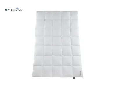 Produktbild von Häussling Traumulus Ganzjahresdecke Federn KB 5x7 Karo, 135x200 cm, Deutsche Manufaktur, auch für Allergiker geeignet, Bezug 100% Baumwolle