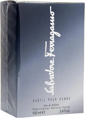 Zdjęcie produktu dla S. Ferragamo Subtil Pour Homme Edt Spray 100 ml