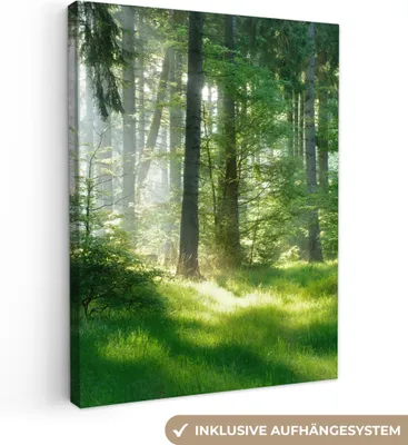 Produktbild von MuchoWow® - Leinwandbilder - Natur - Bäume - Wald - Grün - Sonne - Gras - Pflanzen, Wandbild, Wanddeko Bilder Wohnzimmer, 30x40cm