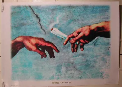 Image de Adams' Creation - Affiche Poster - 65x90cm