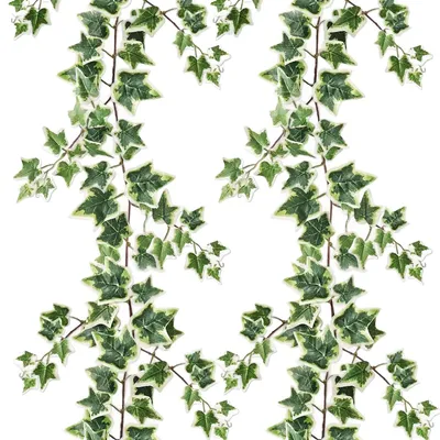 Image de Guirlande verte, 2 pièces, 180 cm (71 pouces), plantes artificielles, lierre retombant, feuilles de lierre, guirlande artificielle, plantes décoratives, plante retombante artificielle, décoration d'intérieur et d'extérieur (blanc/vert)