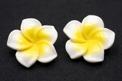 Produktbild von Frangipani Blumen Ohrclips Miniblings Clips Pulmera Surfing Blume Sommer weiß
