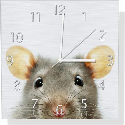 Produktbild von Wallario Design Wanduhr Maus am Tellerrand aus Aluverbund, Größe 30 x 30 cm