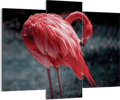 Produktbild von Bild auf Leinwand - Leinwandbild - 3 Teile - Flamingo Rosa Vogel - 130x100cm - Wand Bild - Wanddeko - Wandbilder - Leinwanddruck - Bilder - Wanddekoration - Leinwand bilder - Wandbild - CB130x100-4551