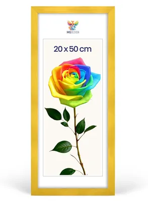Produktbild von MG Design Bilderrahmen 20 x 50 cm - Posterrahmen mit Gelb Holzrahmen (Echtholz) und bruchsicherem Acrylglas, Hoch & Quer mit stabiler Wandaufhängung