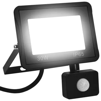 Image de Projecteur à LED avec capteur 30 W Blanc froid