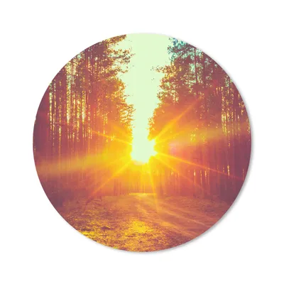 Produktbild von MuchoWow® Mauspad Mousepad Sonnenuntergang - Bäume - Wald - Natur 40x40 cm - Mousepads - Maus Mat - Pad - Mausunterlage - Schreibtisch Accessoires
