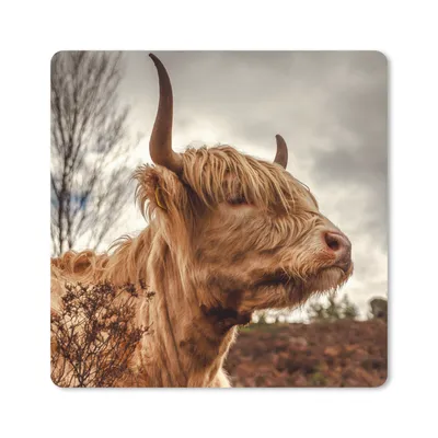 Produktbild von MuchoWow® Mauspad Mousepad Scottish Highlander - Strauch - Heidekraut 20x20 cm - Mousepads - Maus Mat - Pad - Mausunterlage - Desk Mat - Bureauartikeln