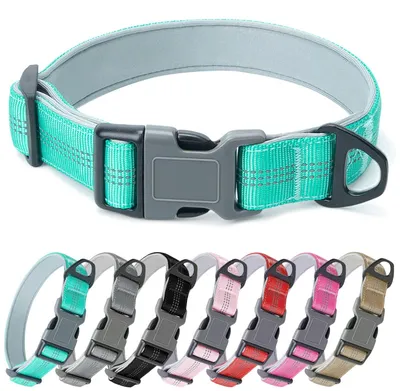 Productafbeelding van Hondenhalsband van nylon met zachte padding en reflecterende details, verstelbaar, XL