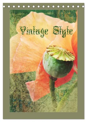 Produktbild von Vintage Style (Tischkalender 2027 DIN A5 hoch), CALVENDO Monatskalender