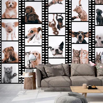 Produktbild von PURO TAPETE selbstklebend 10m Wandtattoo dekorative Möbelfolie Dekorfolie Fotofolie Panel Wandaufkleber Wandposter Wandsticker - Tiere Katze Hund Pferde Schwein Kaninchen g-C-0026-j-b