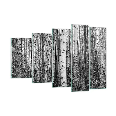 Produktbild von Bilder auf glas - 5 Teile - Birken Wald Monochrom - 150x100cm - Glasbilder - Wandbilder - Bilder - zum Aufhängen bereit - Wanddekoration aus Glas - Glas Bilder - Wandbild auf Glas - GEG150x100-4643