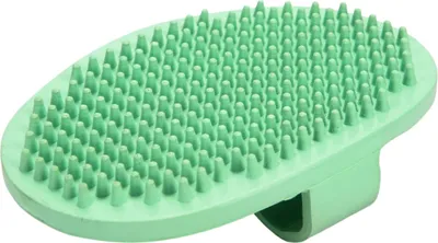 Image de Brosse de massage Beeztees - chien - menthe - 13x9x2 cm