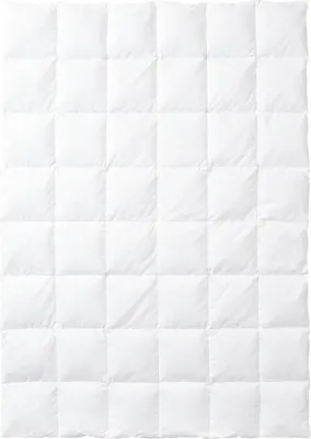 Produktbild von Kauffmann Daunendecke Einziehdecke Österreichische Weidegans 140 x 220 cm Steppung 6 x 8 Füllgewicht: = 440 g normal