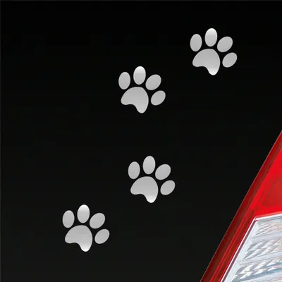 Produktbild von Auto Aufkleber Pfoten Paws Dog Hund Haustier Tier Pfote Paw 8x10 cm Silber Sticker Heckscheibenaufkleber